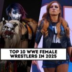 Top wwe female superstars